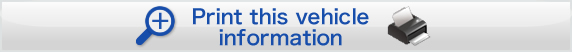 Print this vehicle information