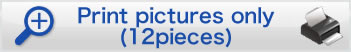 Print pictures only (12pieces)